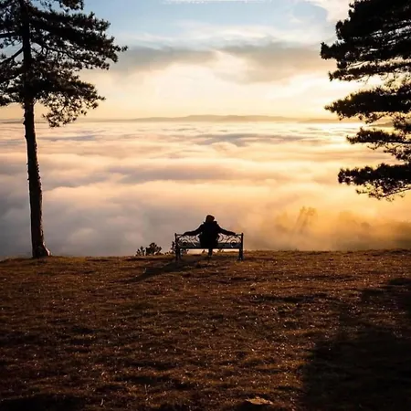 Zlatnibor House Hébergement de vacances